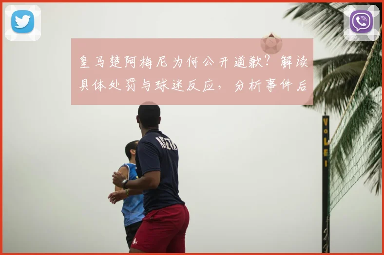 皇马楚阿梅尼为何公开道歉？解读具体处罚与球迷反应，分析事件后续影响